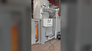 Sichere Tierabfallverbrennungsanlage 1200C